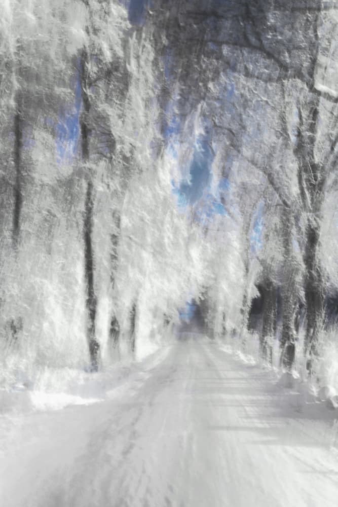 Ethereal Snowy Path by Christina Sillen — canvas wall art