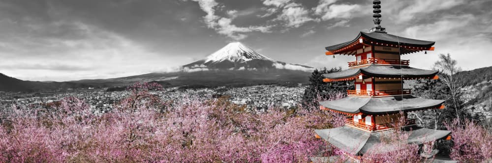 Mount Fuji Cherry Pagoda by Melanie Viola — canvas wall art