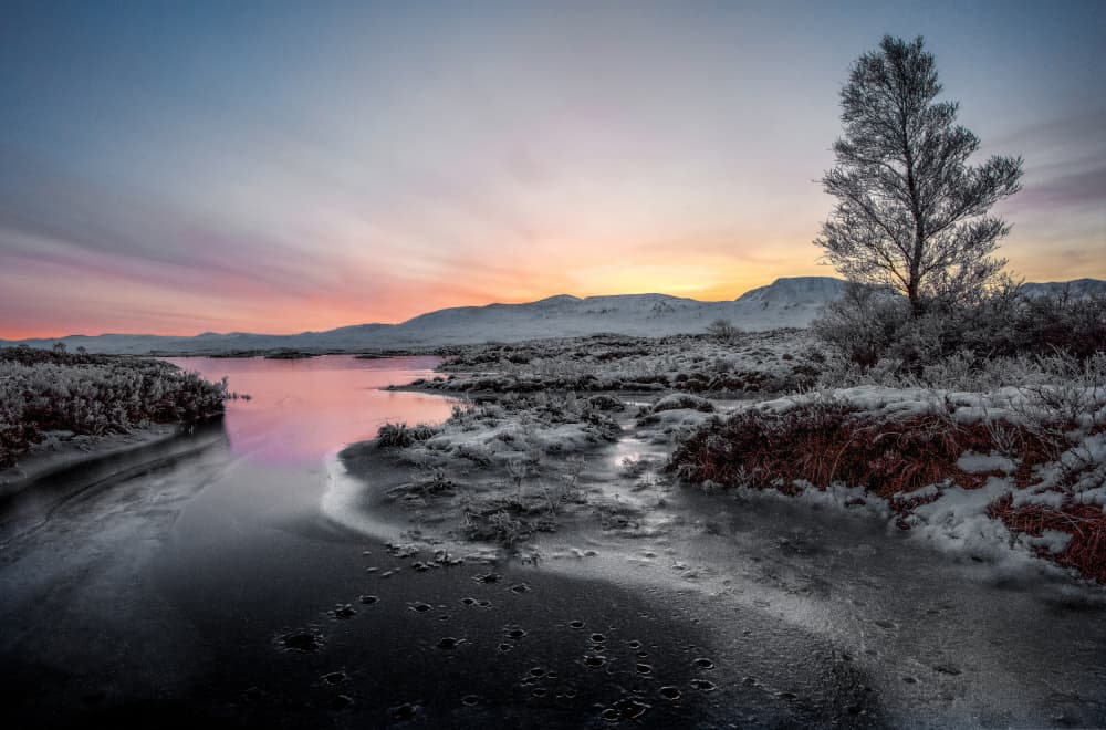 Frozen Lake Dawn by Peter Paterson — canvas wall art