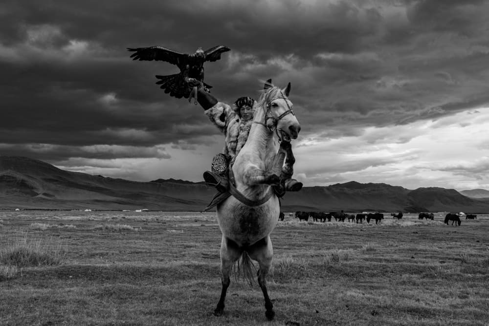 Majestic Eagle Hunter by Max Vere-Hodge — canvas wall art