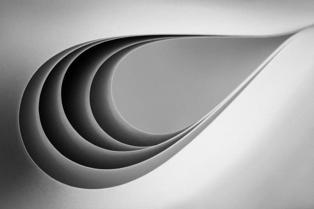 Abstract Paper Curves by Jacqueline Hammer — canvas wall art