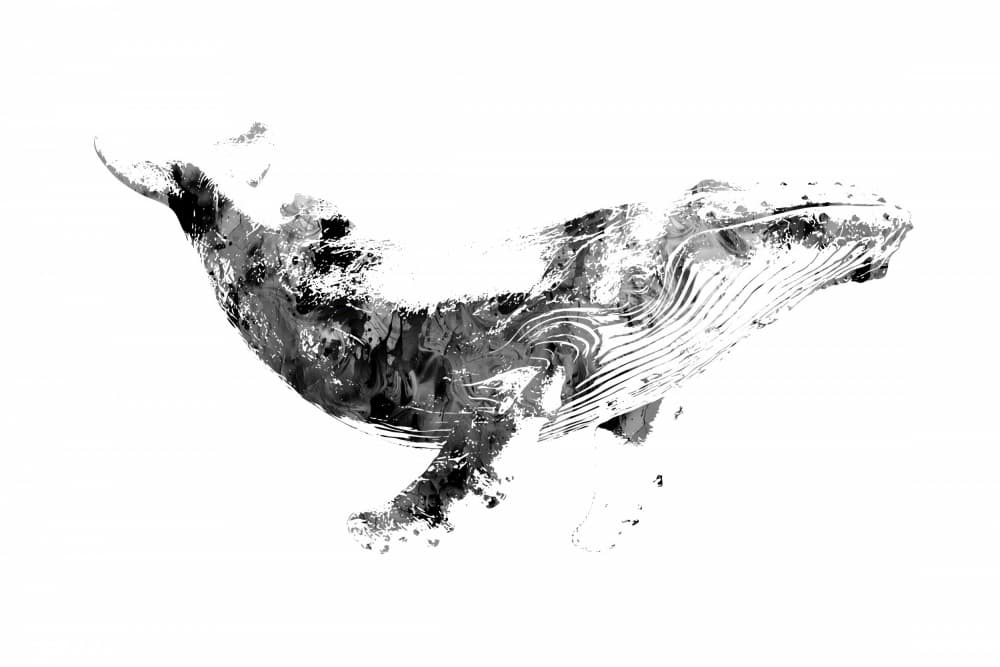 Abstract Ink Whale by Rafal Kulik — canvas wall art