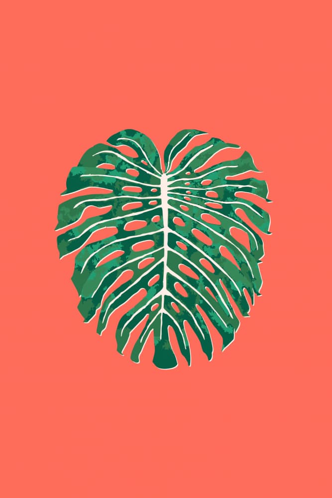 Vibrant Monstera Leaf by Karen Menzenbach — canvas wall art