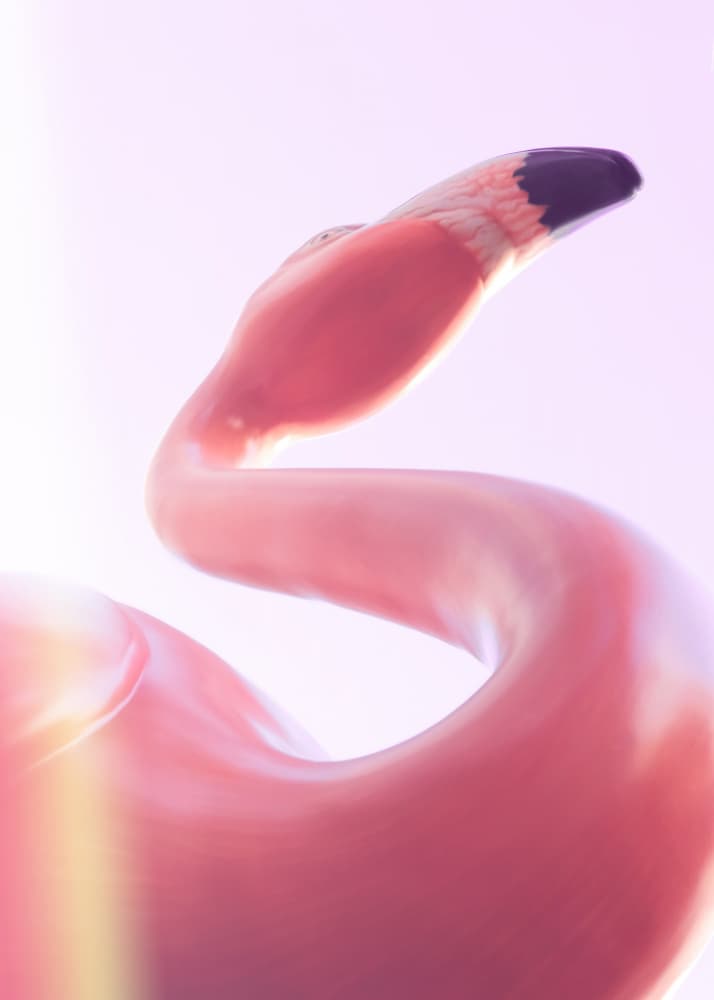 Graceful Pink Flamingo by Pictufy Studio III — canvas wall art