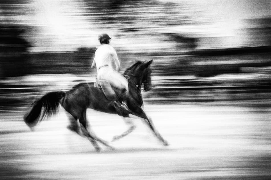 Dynamic Horse Ride by Juraj Čičatko - (ASON) — canvas wall art