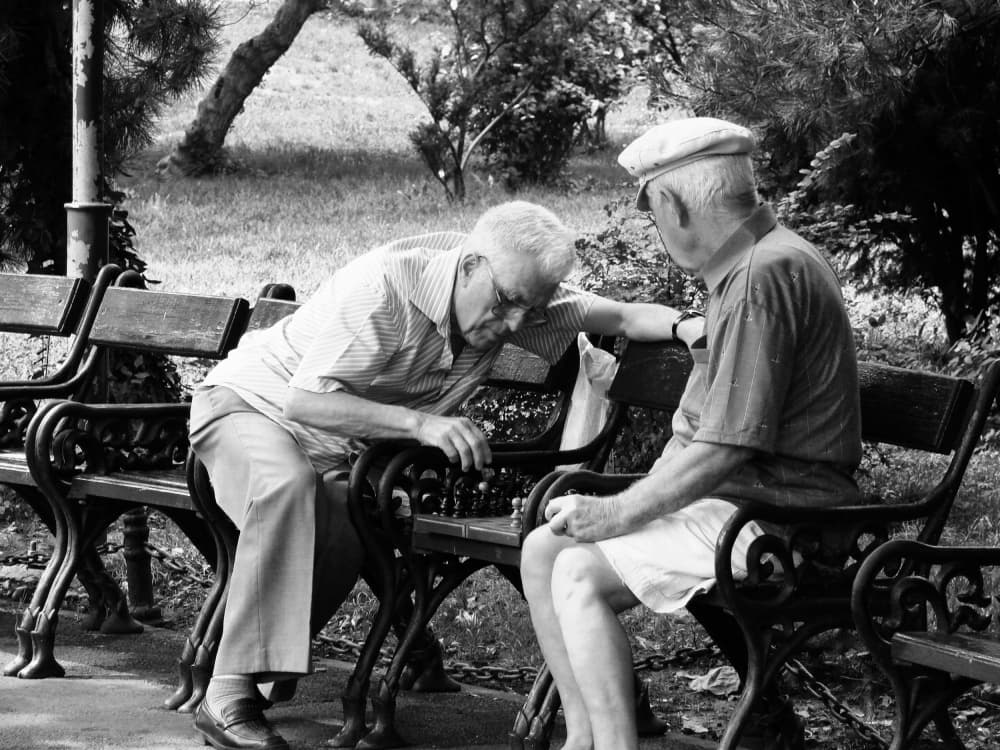 Elderly Men Play Chess by Udrea Dan — canvas wall art