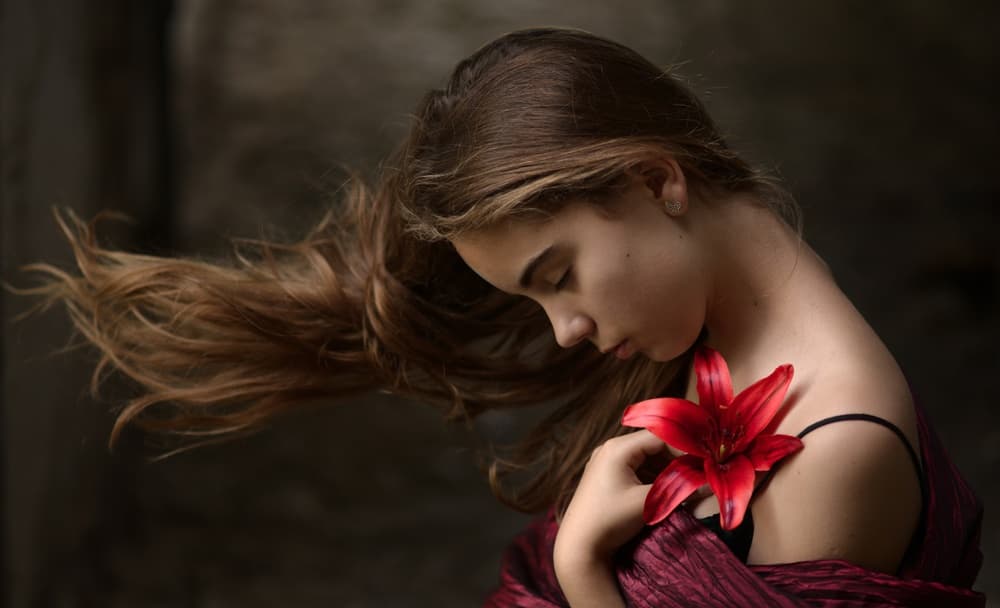 Quiet Beauty Red Lily by Małgorzata Masarz — canvas wall art