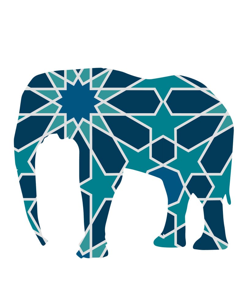 Geometric Elephant Pattern by Emiliano Deificus — canvas wall art