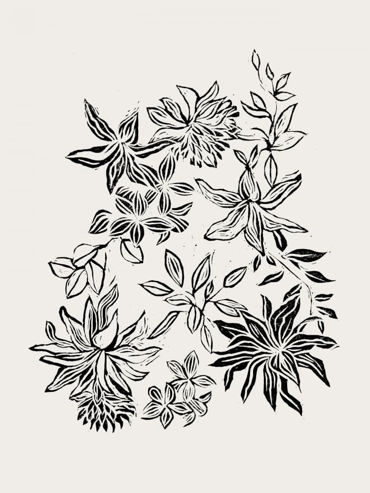 Organic Black Botanicals by Alexandra Weise — canvas wall art