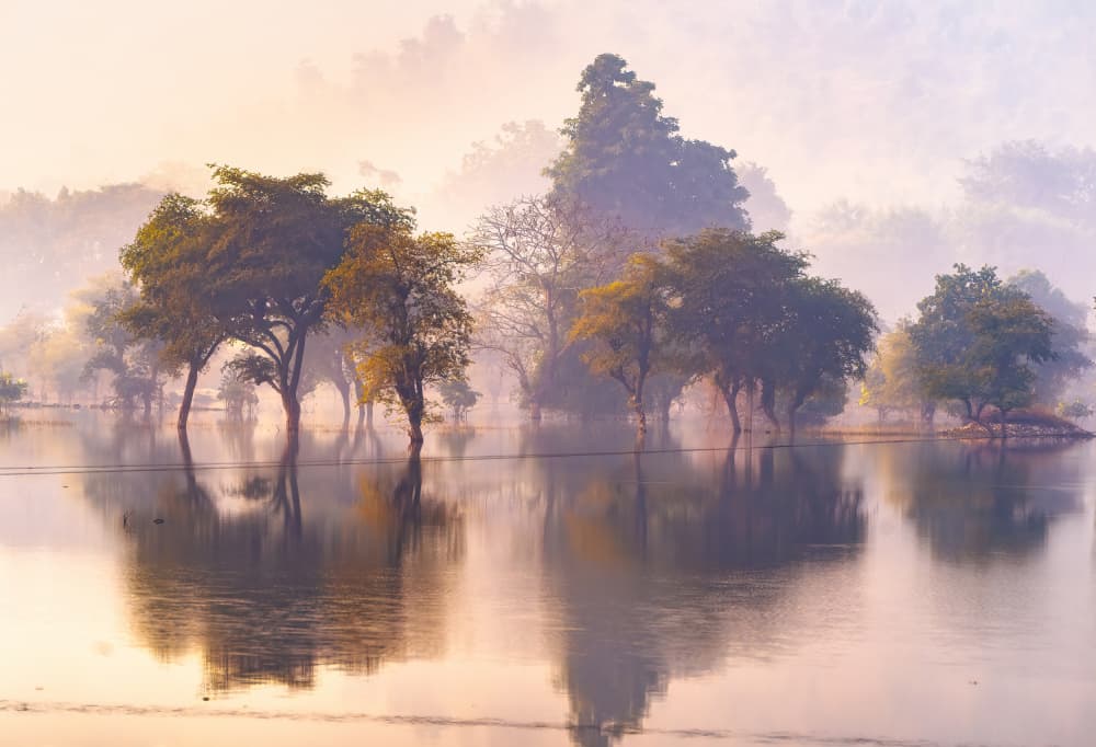 Misty Morning Reflections by Nilesh J. Bhange — canvas wall art