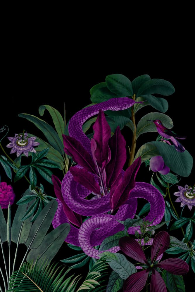 Purple Jungle Serpent by Andrea Haase — canvas wall art