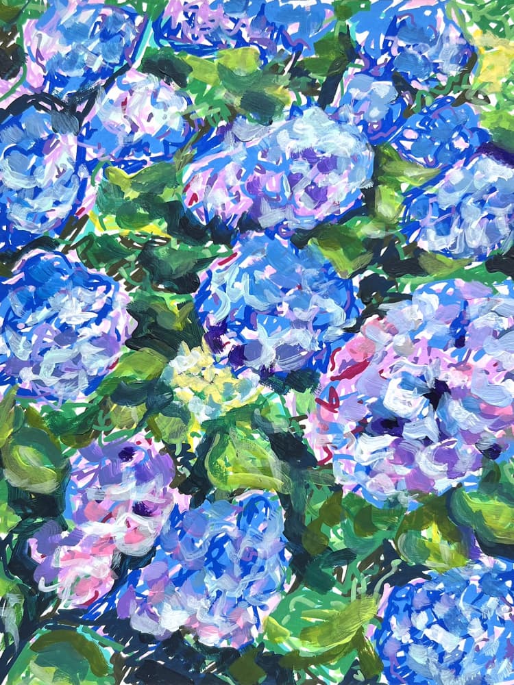 Colorful Hydrangea Blooms by Pauline Wegman | Key and Sea Creative — canvas wall art