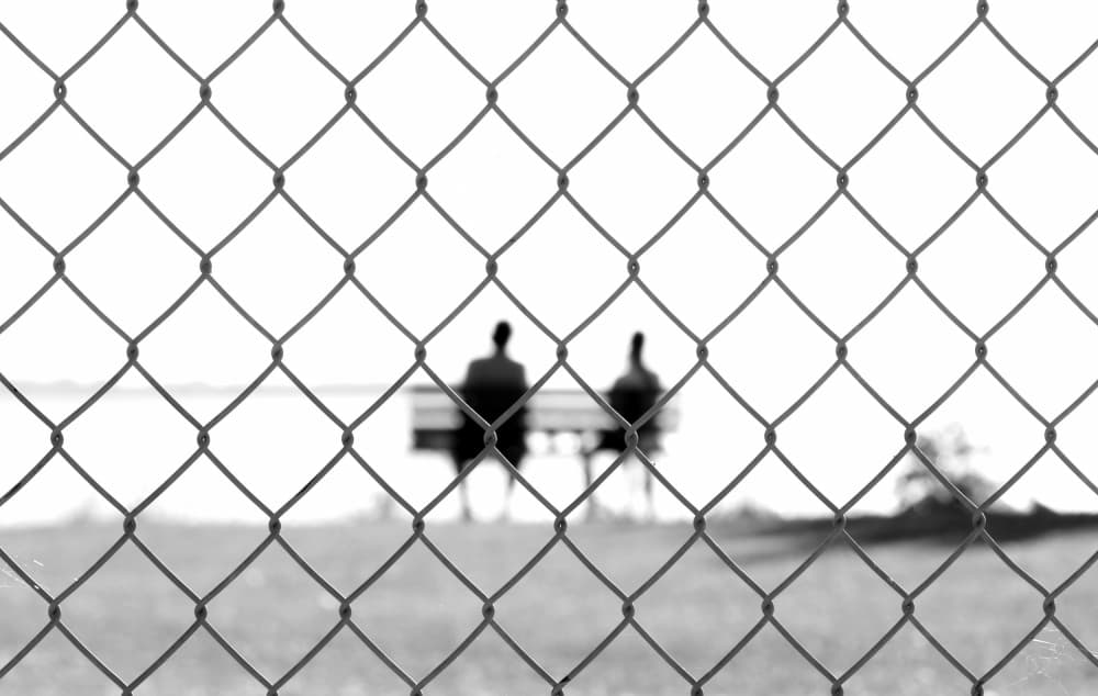 Contemplation Through Fence by Jian Wang — canvas wall art