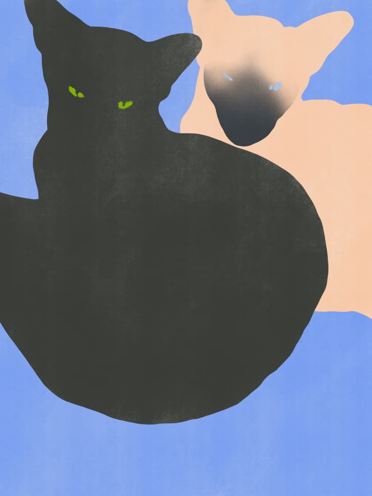 Mysterious Cat Duo by Little Dean — canvas wall art