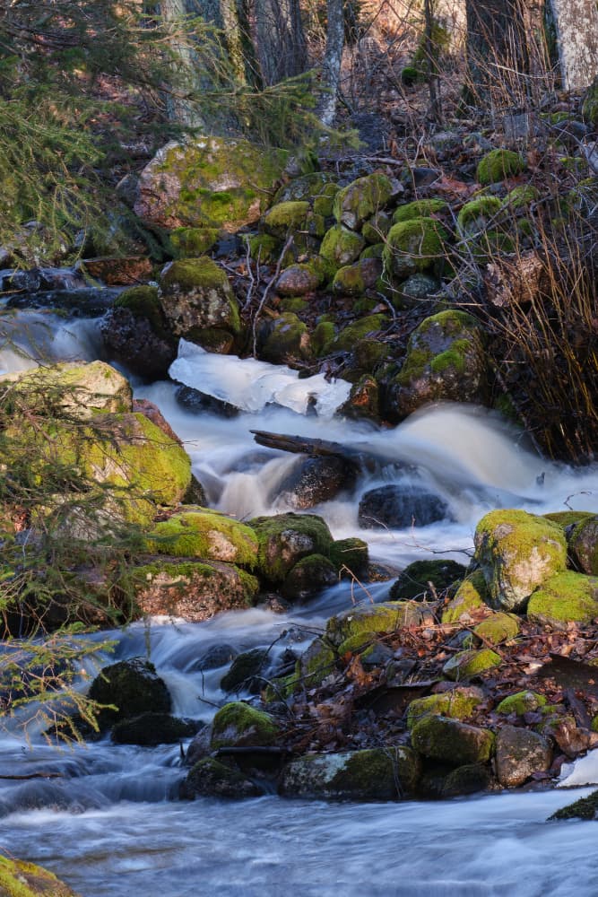 Flowing Mossy Stream by Geertjan Plooijer — canvas wall art