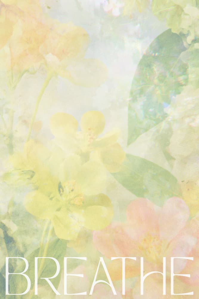 Softspokenno19 by Treechild — canvas wall art