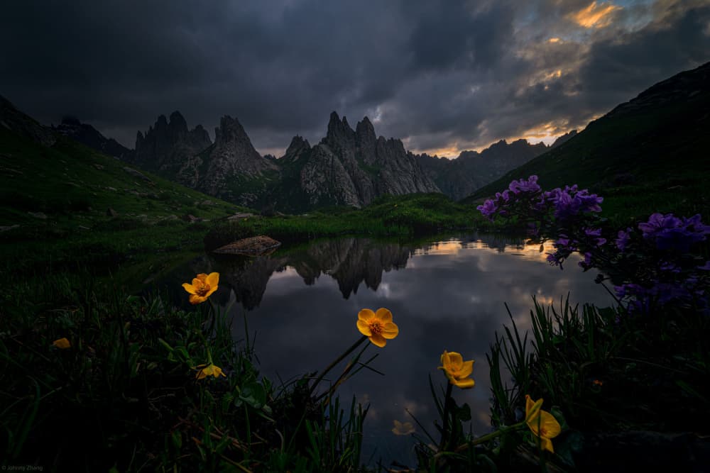 Dramatic Mountain Lake Flowers by Johnny Zhang — canvas wall art