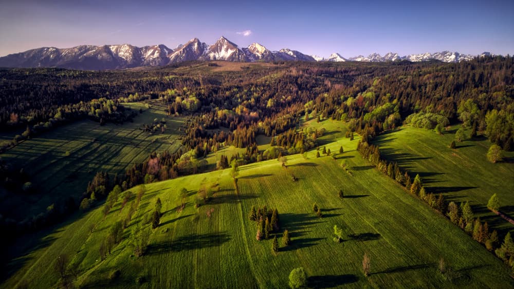 Lush Valley Mountain View by Ricardo Gayan — canvas wall art