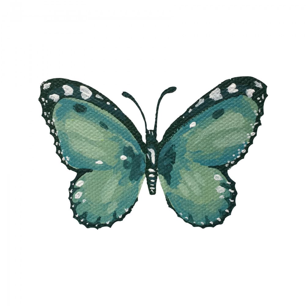 Elegant Teal Butterfly by Madison Phipps — canvas wall art
