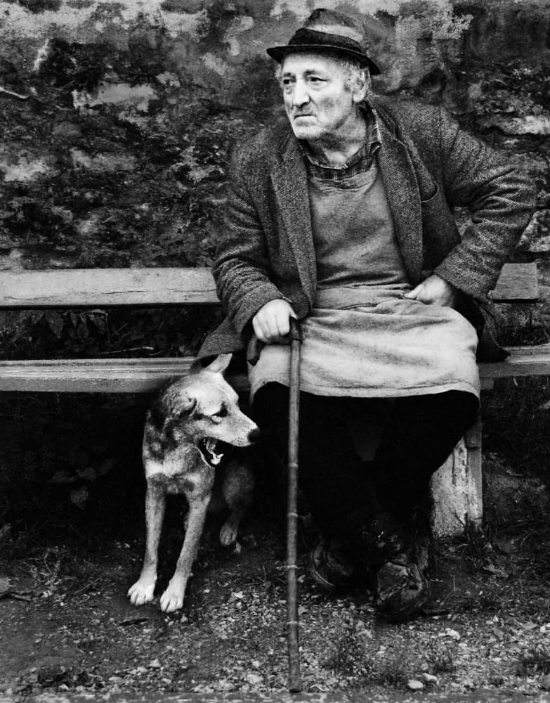 Old Man And Dog by Nicoleta Gabor — canvas wall art