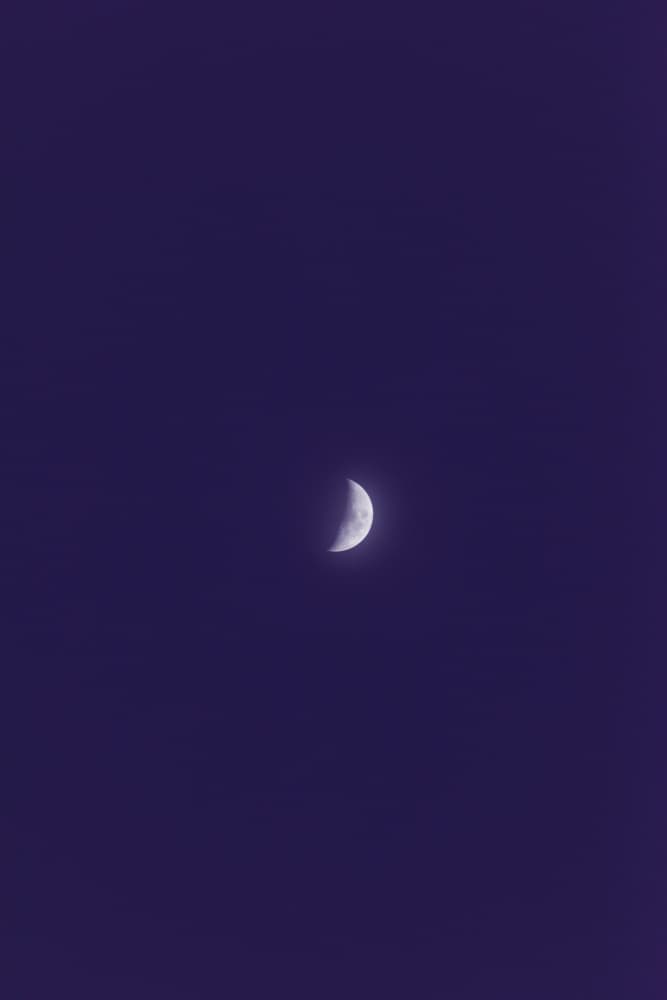 Crescent Moon Night by Lynann Colligan — canvas wall art