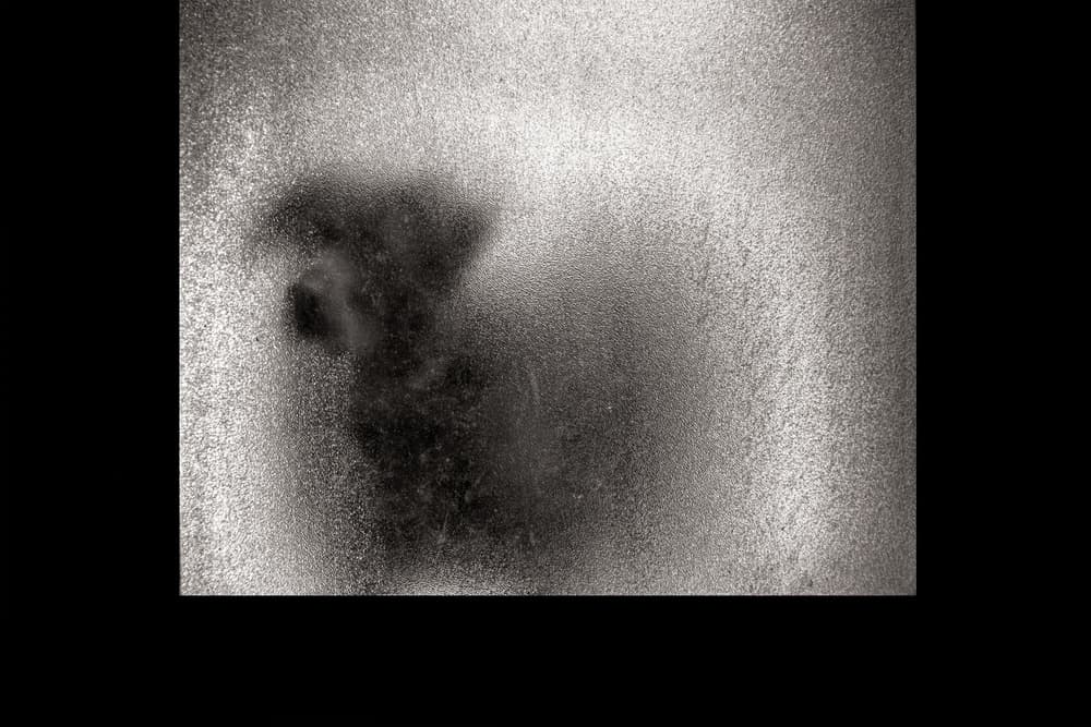 Frosted Dog Shadow by Roxana Labagnara — canvas wall art