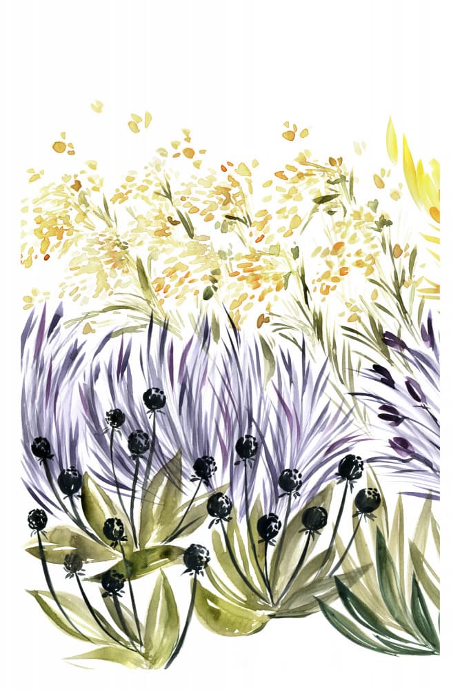 Vibrant Meadow Flowers by Rosana Laiz Blursbyai — canvas wall art