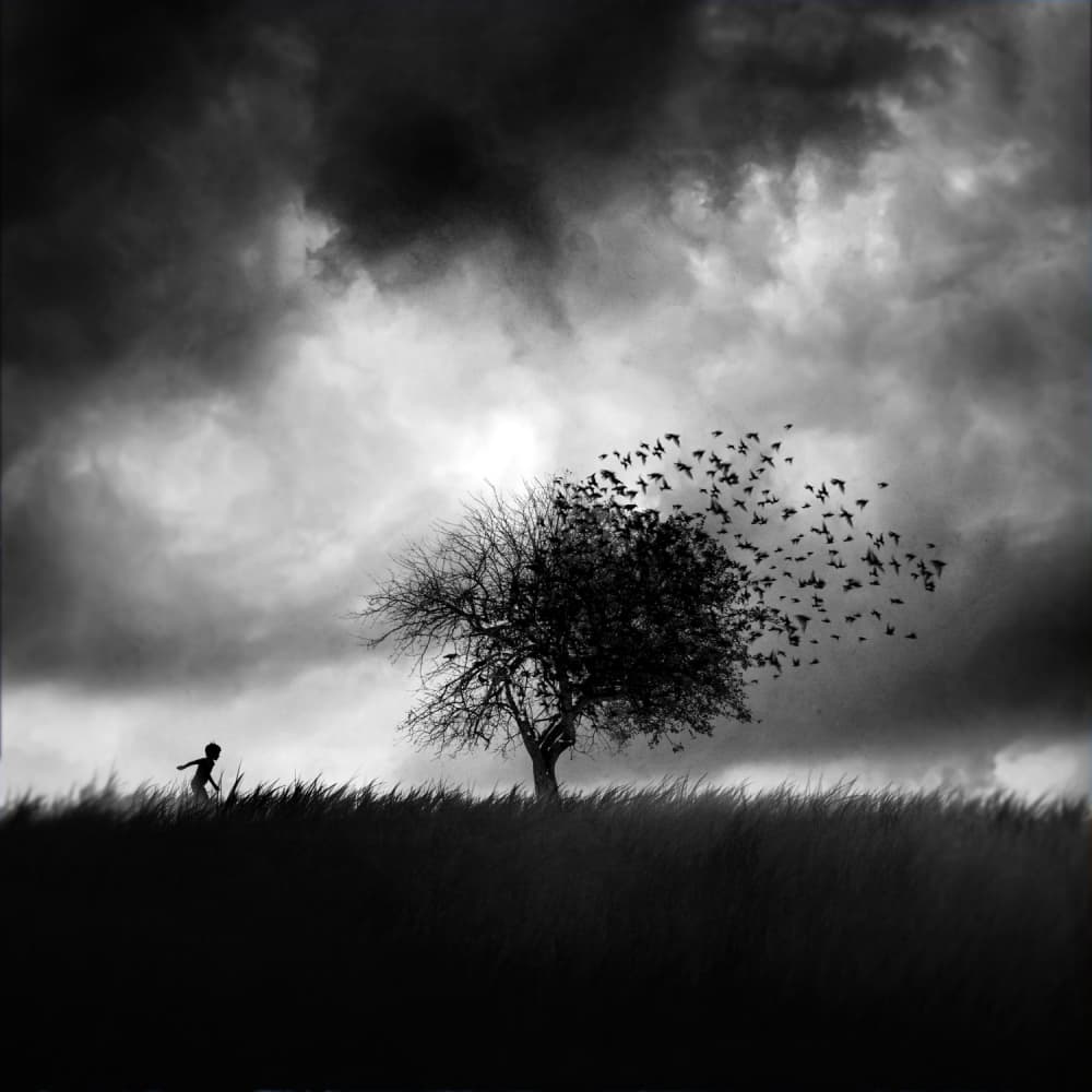 Dramatic Sky Birds Flying by Sebastien DEL GROSSO — canvas wall art