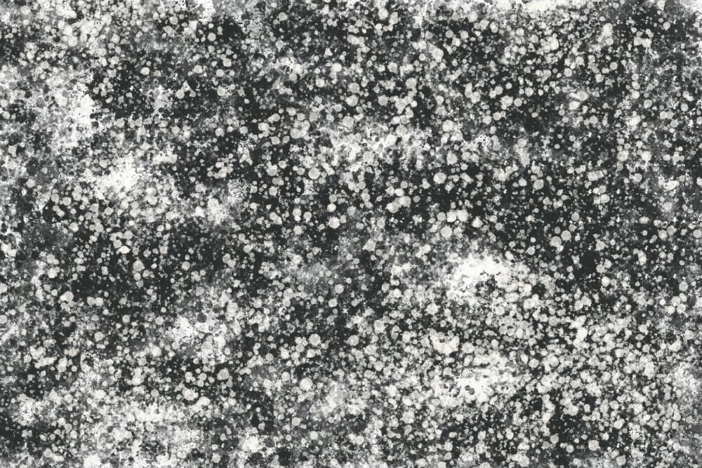 Monochromatic Splatter Pattern by uplusmestudio — canvas wall art