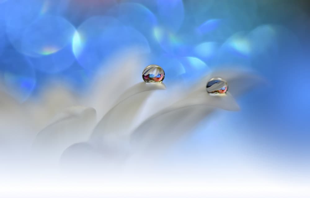 Colorful Droplets Blue Light by Juliana Nan — canvas wall art