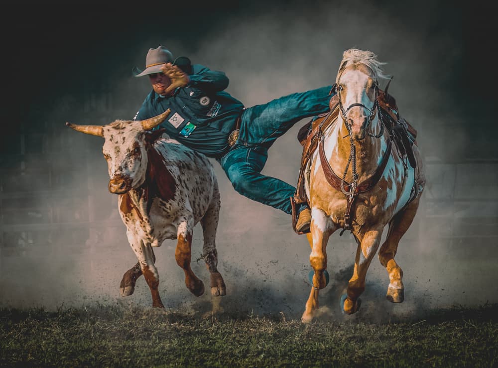 Rodeo Steer Wrestling by Frank Ma — canvas wall art