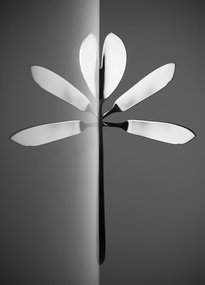 Reflected Knife Flower by Wieteke de Kogel — canvas wall art