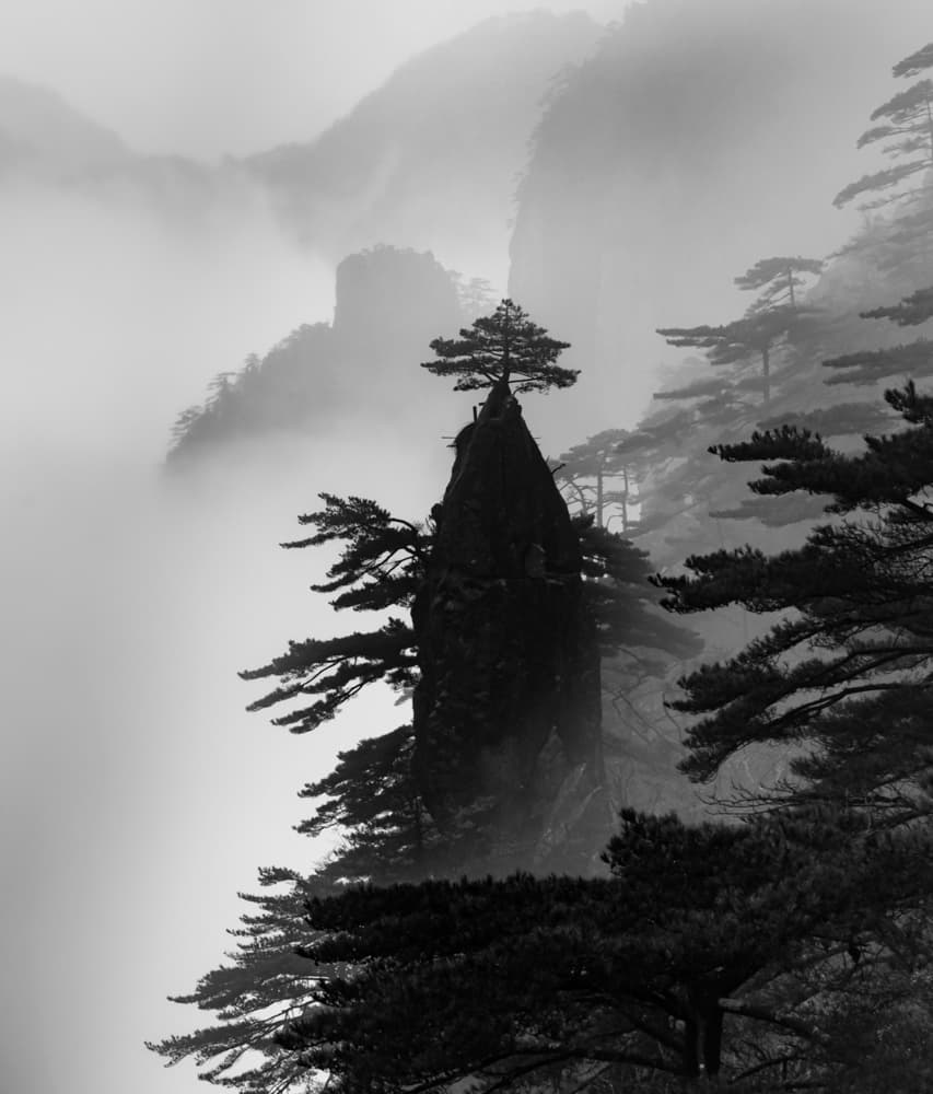 Misty Mountain Pines by Wei (David) Dai — canvas wall art