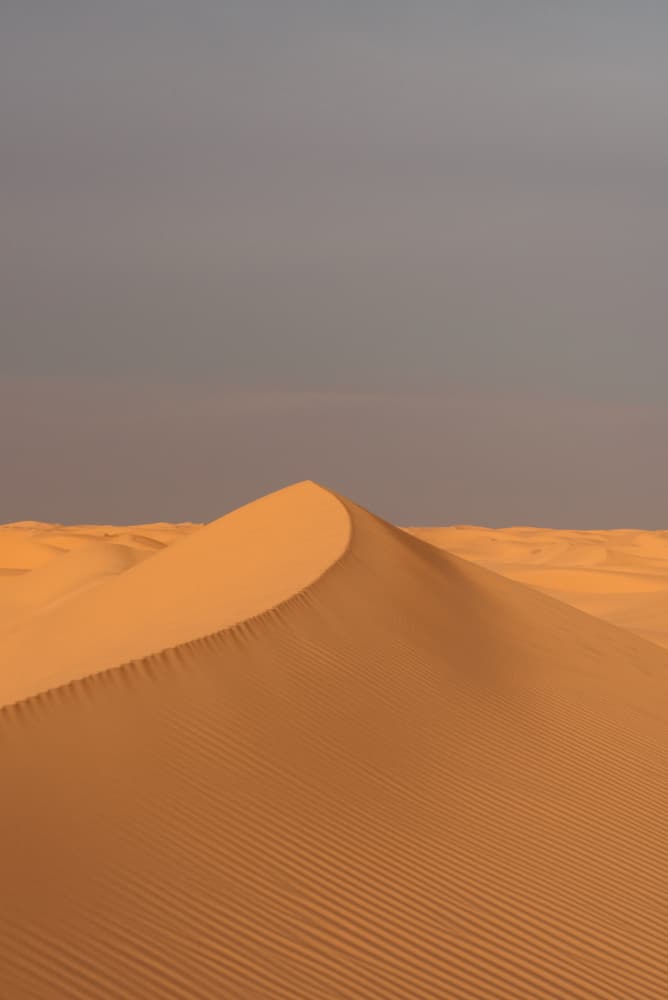 Golden Desert Dune by Photolovers — canvas wall art
