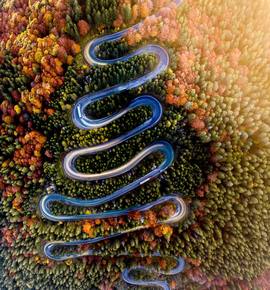 Winding Autumn Road by Ovi D. Pop — canvas wall art