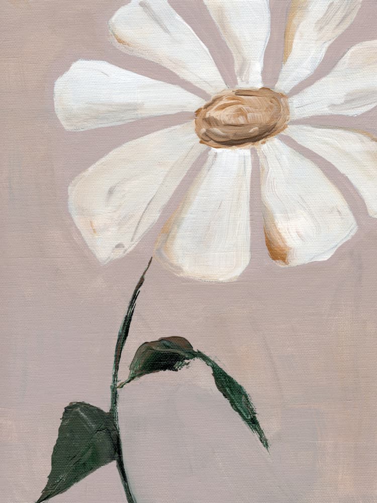 Soft White Daisy by Nikita Jariwala — canvas wall art