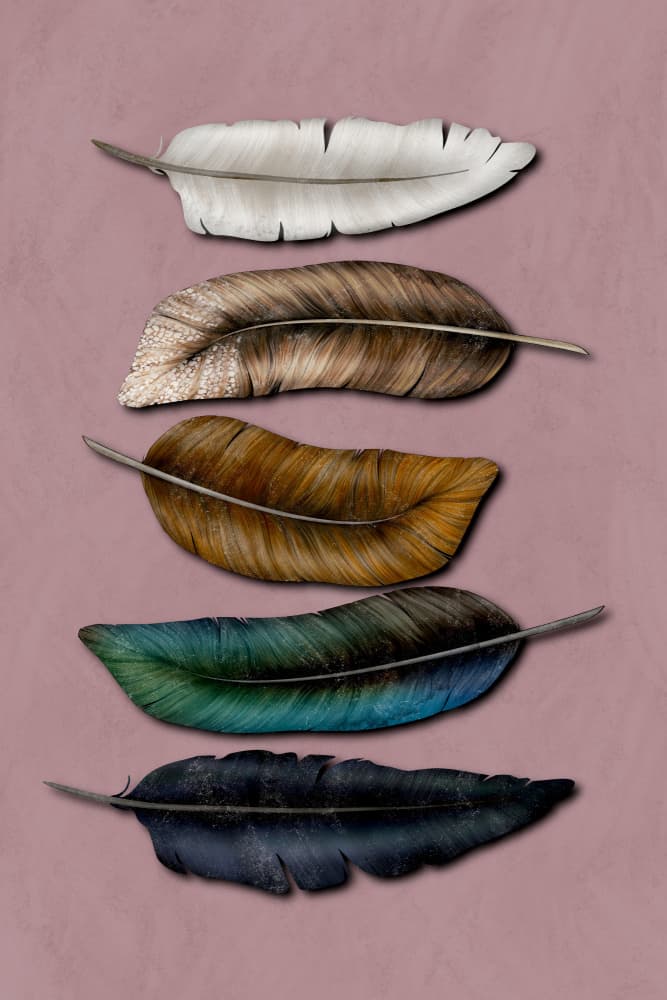 Earthy Feather Collection by EMELIEmaria — canvas wall art