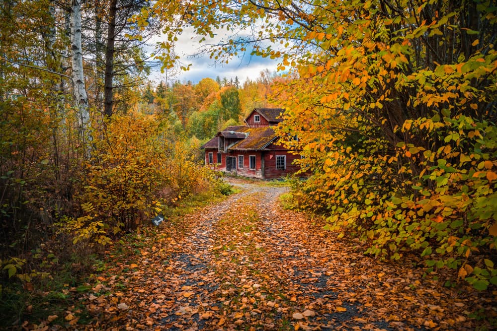 Secluded Autumn Home by Christian Lindsten — canvas wall art
