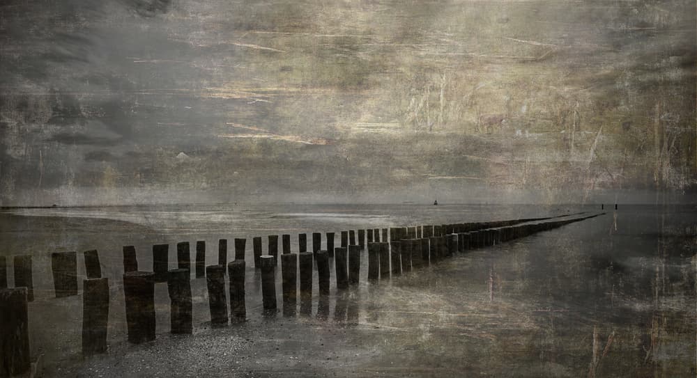 Moody Coastal Pilings by Saskia Dingemans — canvas wall art