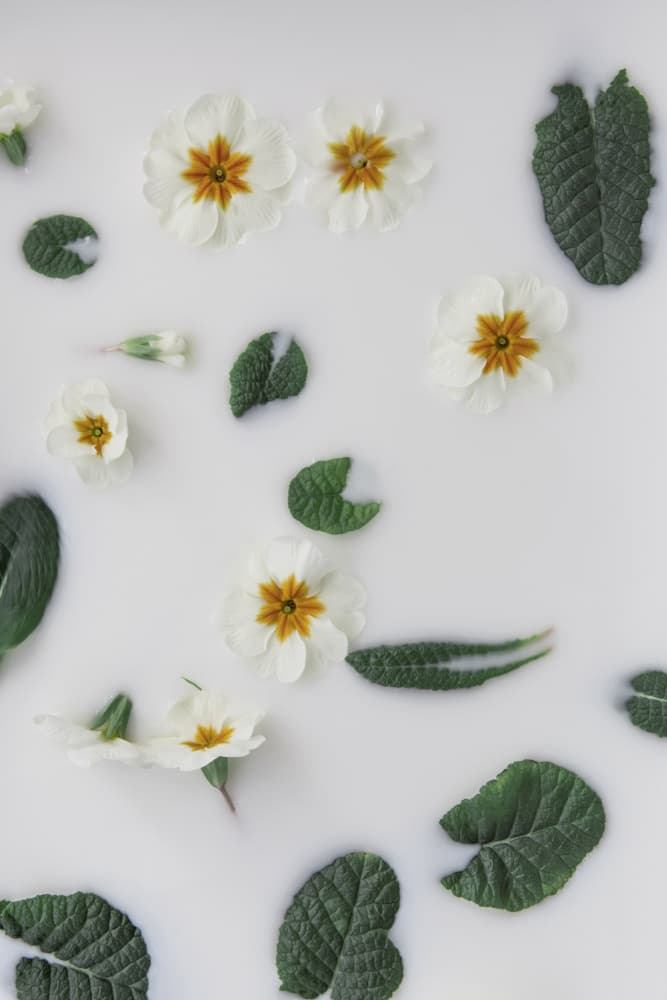 Floating Spring Flowers by Lynann Colligan — canvas wall art