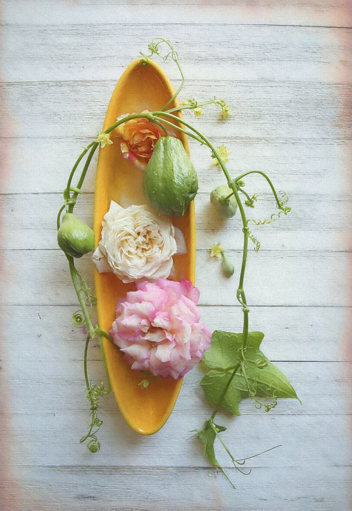 Rustic Rose and Chayote by Fangping Zhou — canvas wall art