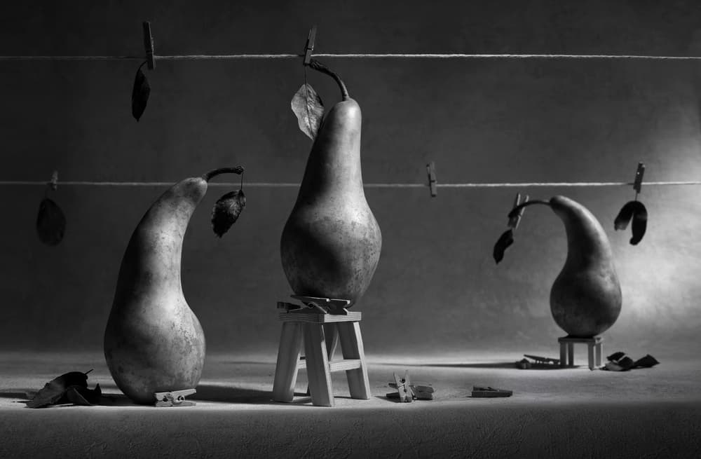 Whimsical Pear Still Life by Victoria Glinka — canvas wall art