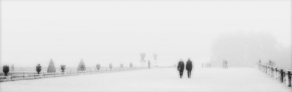Ethereal Winter Walk by Anna Cseresnjes — canvas wall art