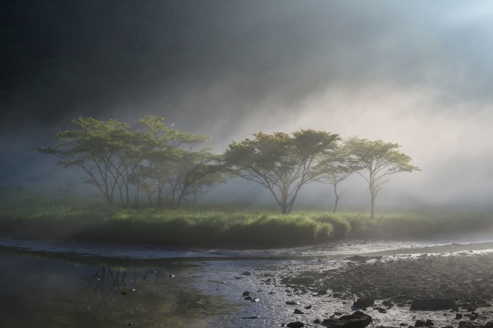 Morning Mist River by K_Tsunoda — canvas wall art