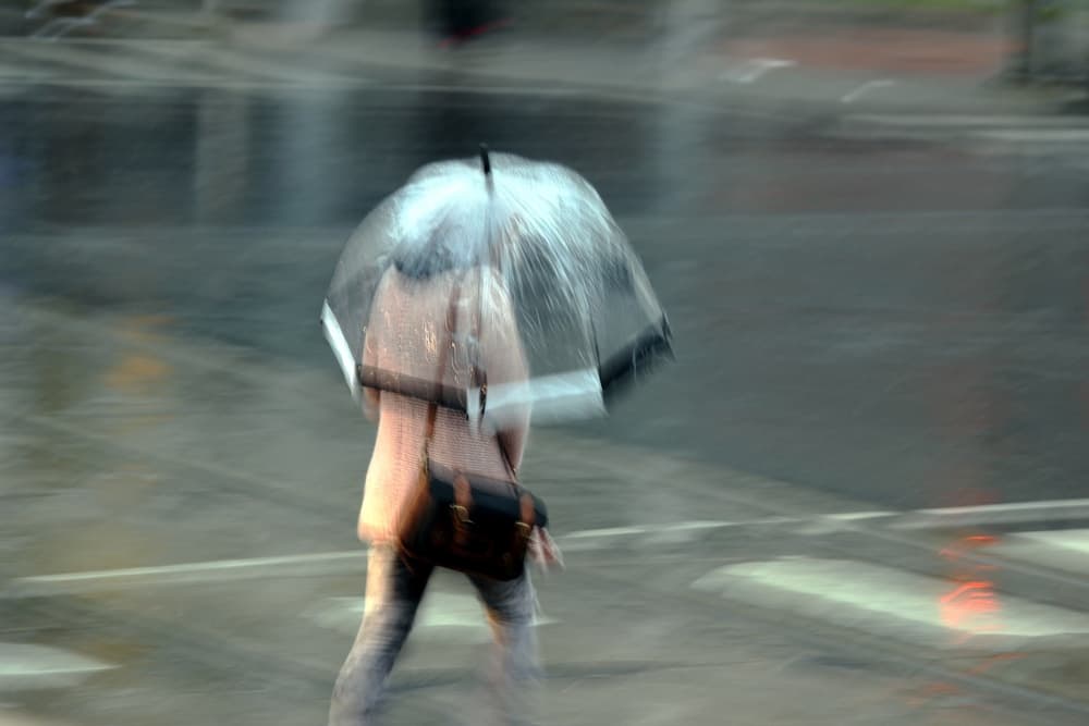 Rainy City Walk by Jian Wang — canvas wall art