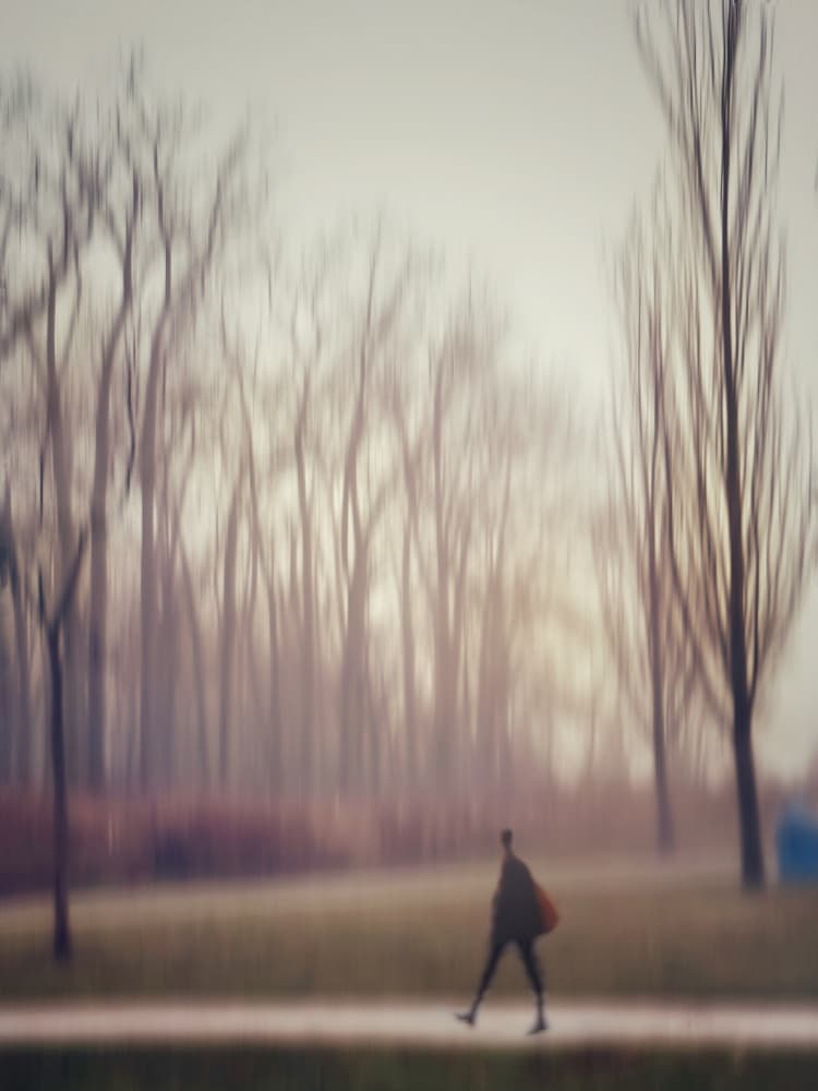 Misty Park Stroll by Weiwei — canvas wall art
