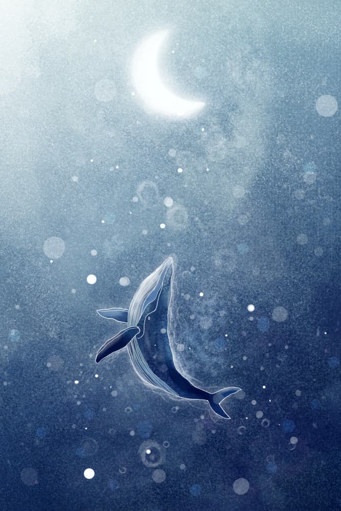 Celestial Whale Dream by Xuan Thai — canvas wall art