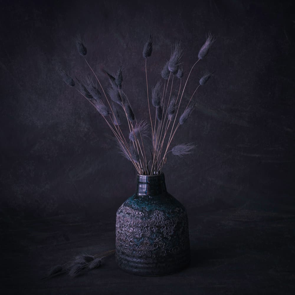 Moody Dried Flowers by Cicek Kiral — canvas wall art