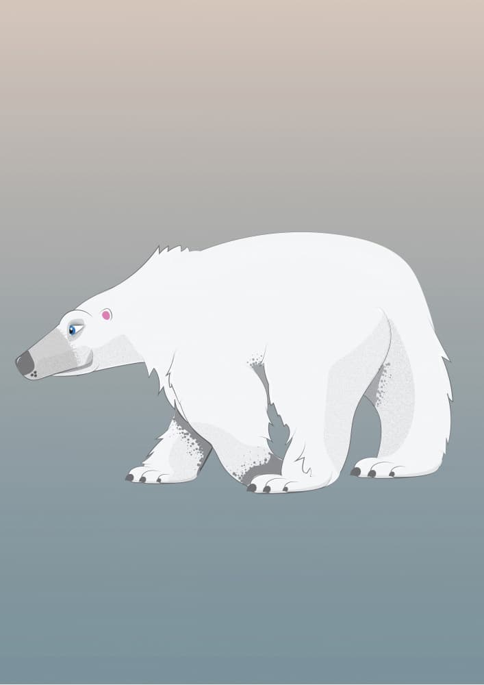 Serene Polar Bear by Nicholas — canvas wall art