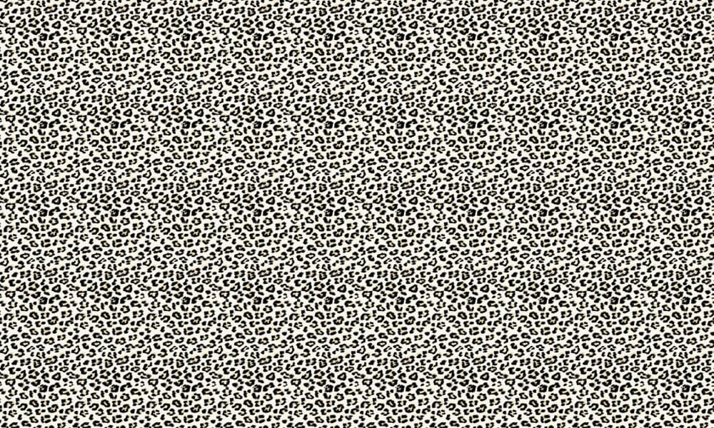 Feline Leopard Pattern by Anis Illustration — canvas wall art